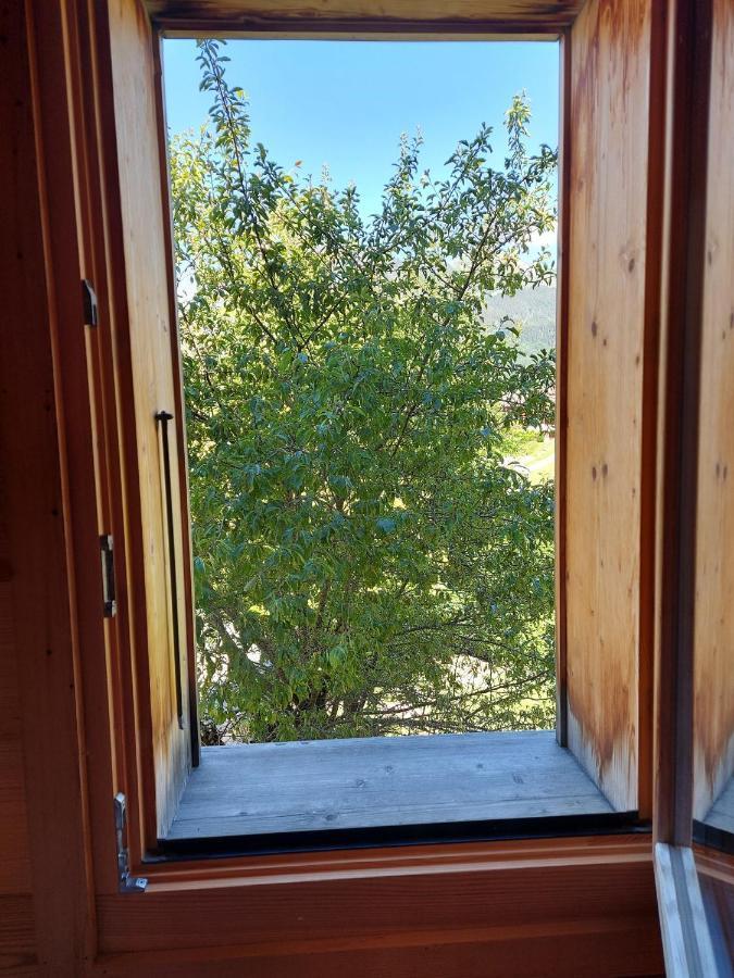 Chalet Sauna Au Pied Des Pistes - Saint Jean D'Aulps Station - 14 Personnes - Chalet Phoenix エクステリア 写真