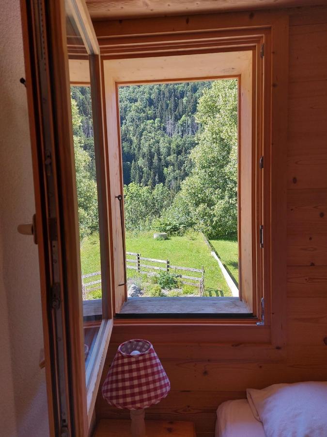 Chalet Sauna Au Pied Des Pistes - Saint Jean D'Aulps Station - 14 Personnes - Chalet Phoenix エクステリア 写真